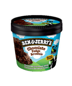 MINI TUB BEN N JERRY CHOC FUDGE (12PCS)