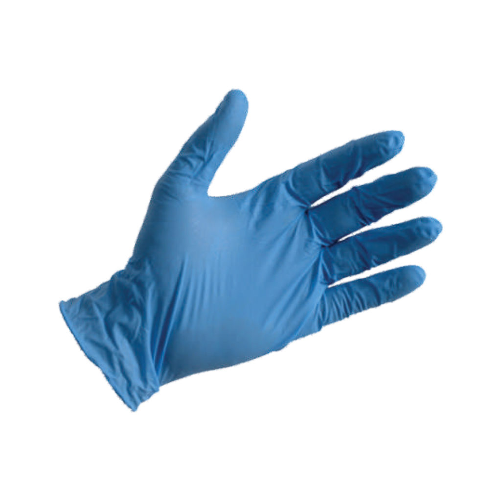 VINYL LARGE BLUE GLOVES POWDER FREE (1×100) – Berico Food