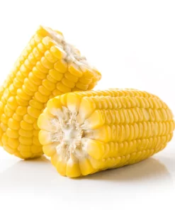 CORN ON COB (48 PCS)