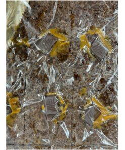 FROZEN CHOCOLATE BROWNIE